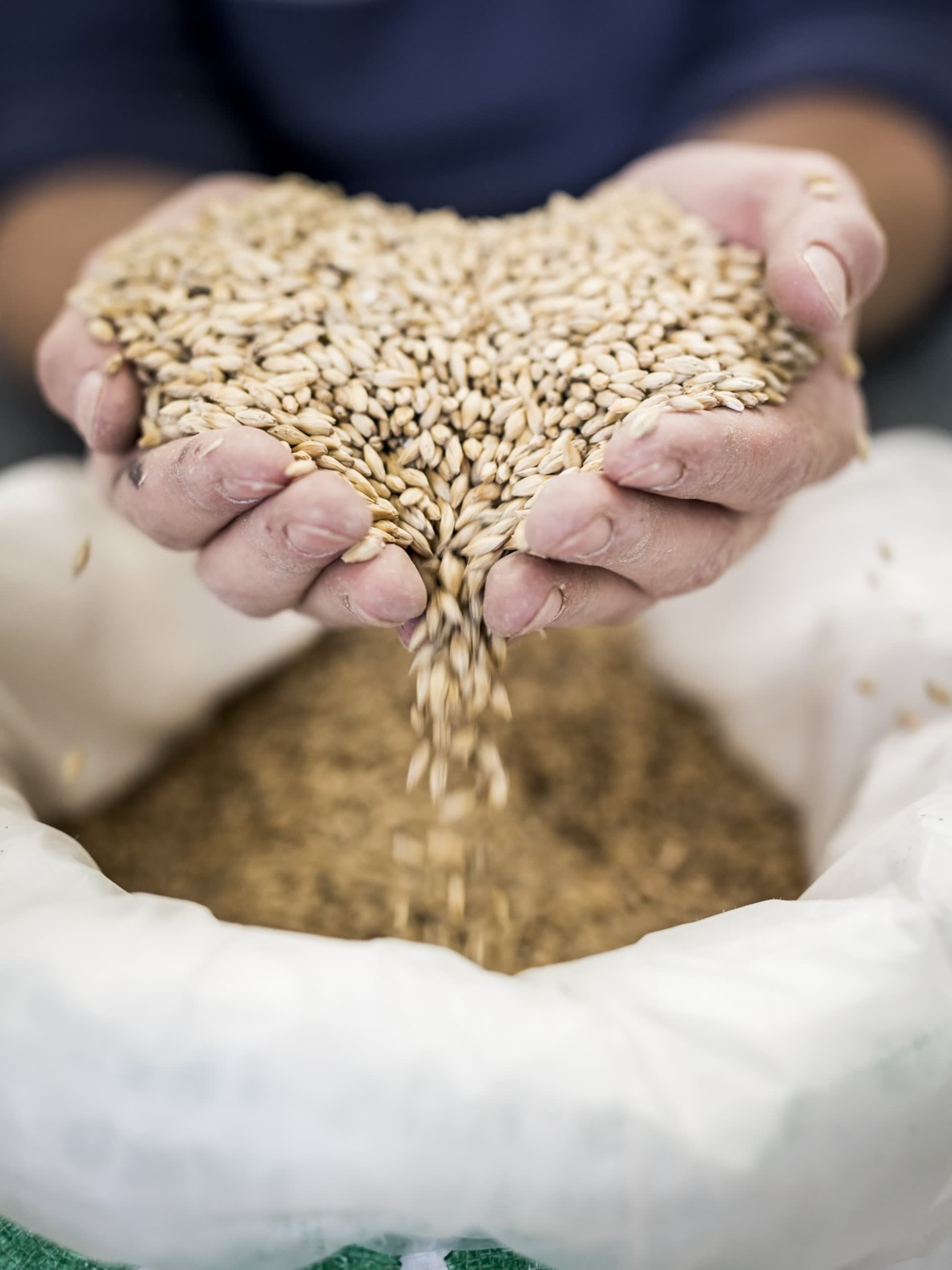 Supporting our customers' innovation