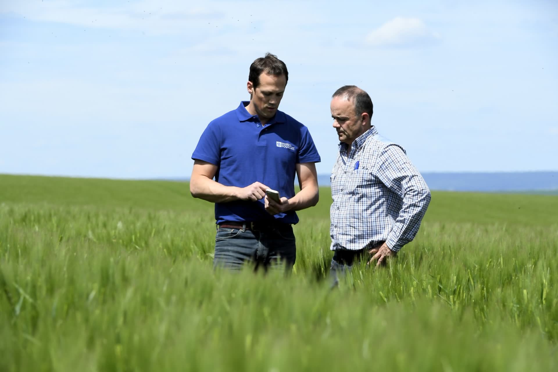 Estimate the quantities of barley expected in each country